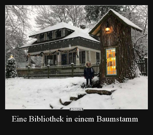 Eine Bibliothek in einem Baumstamm..