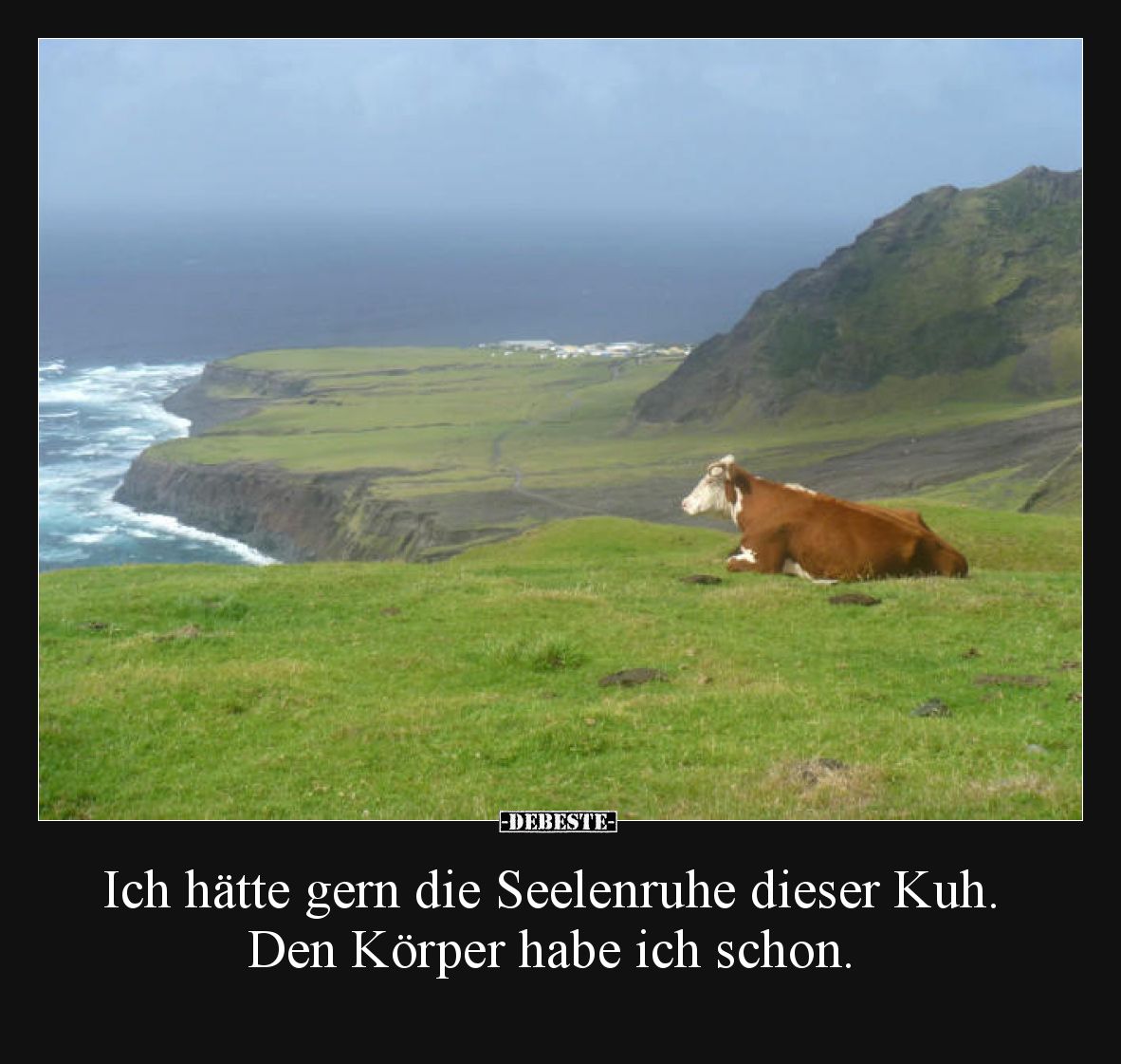 Ich hätte gern die Seelenruhe dieser Kuh. Den Körper habe ich schon.