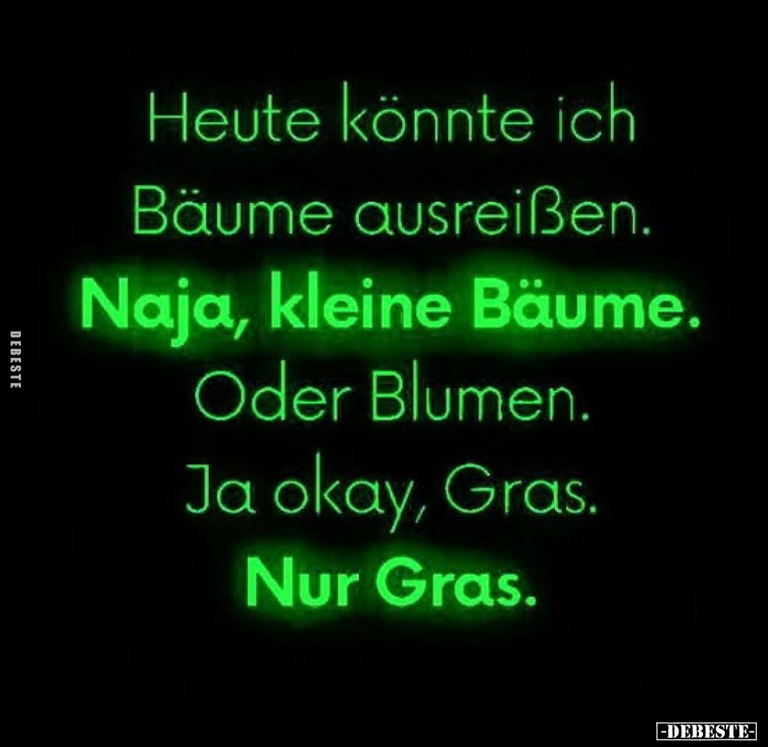 Heute könnte ich Bäume ausreißen.
Naja, kleine Bäume.
Oder Blumen.
Ja okay, Gras.
Nur Gras.