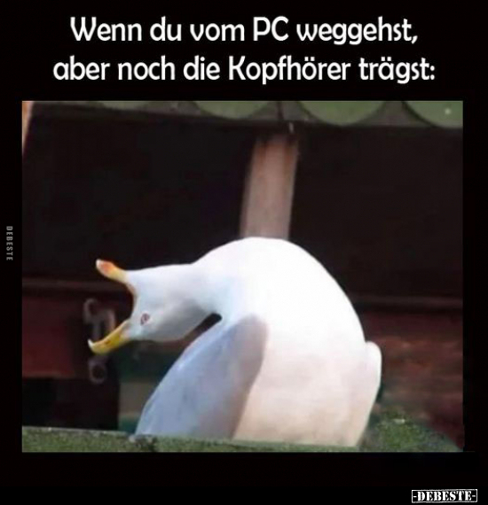 Wenn du vom PC weggehst, aber noch die Kopfhörer trägst.. - Lustige Bilder | DEBESTE.de