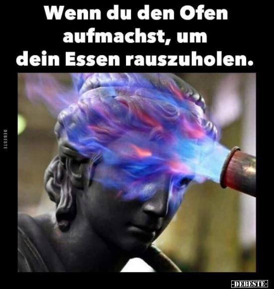 Wenn Du Den Ofen Aufmachst Um Dein Essen Rauszuholen Lustige Bilder Spruche Witze Echt Lustig