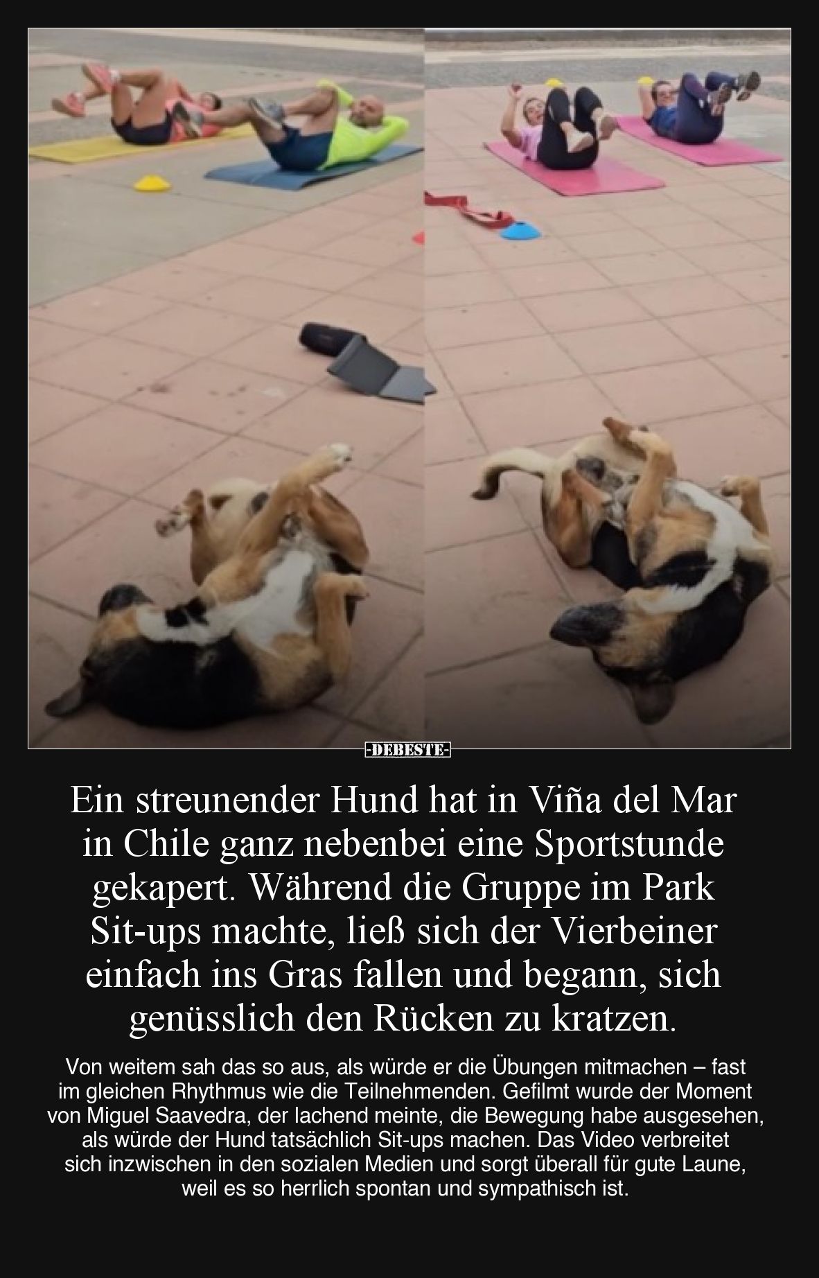 Ein streunender Hund hat in Viña del Mar in Chile ganz nebenbei eine Sportstunde gekapert. Während die Gruppe im Park Sit-ups...