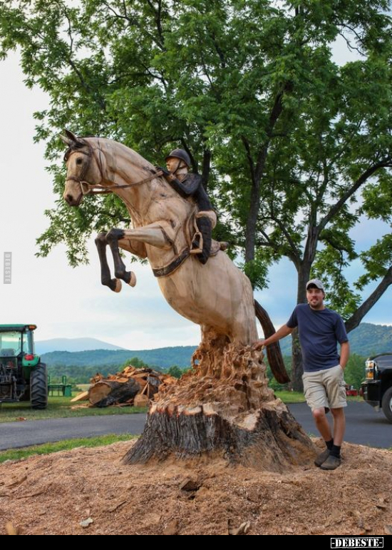  - Lustige Bilder | DEBESTE.de