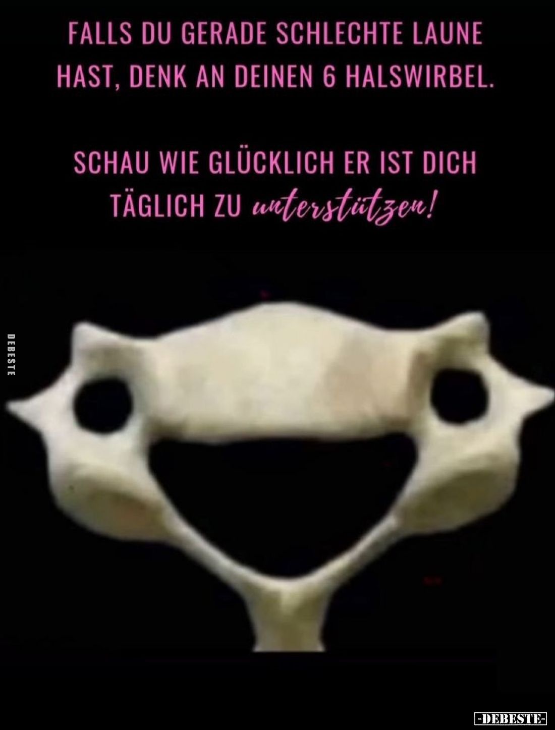 Falls du gerade schlechte Laune hast, denk an deinen 6 Halswirbel.
Schau wie glücklich er ist dich täglich zu unterstützen!