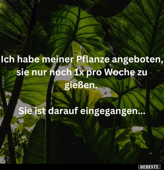 Ich habe meiner Pflanze angeboten, sie nur noch 1x pro.. - Lustige Bilder | DEBESTE.de