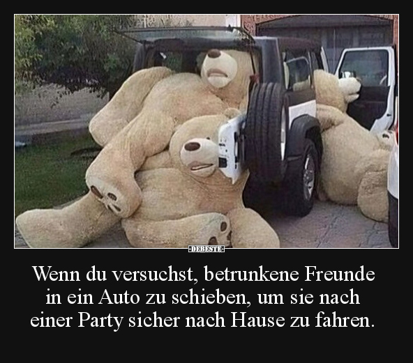 Wenn du versuchst, betrunkene Freunde in ein Auto zu.. - Lustige Bilder | DEBESTE.de