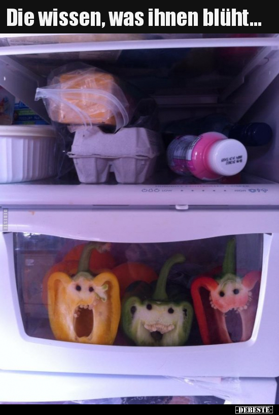 Die wissen, was ihnen blüht...