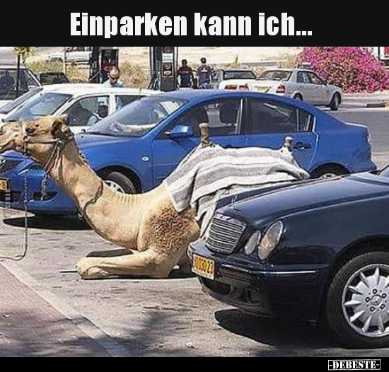 Einparken kann ich... - Lustige Bilder | DEBESTE.de