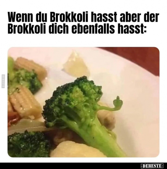 Wenn du Brokkoli hasst aber der Brokkoli dich ebenfalls hasst.. - Lustige Bilder | DEBESTE.de