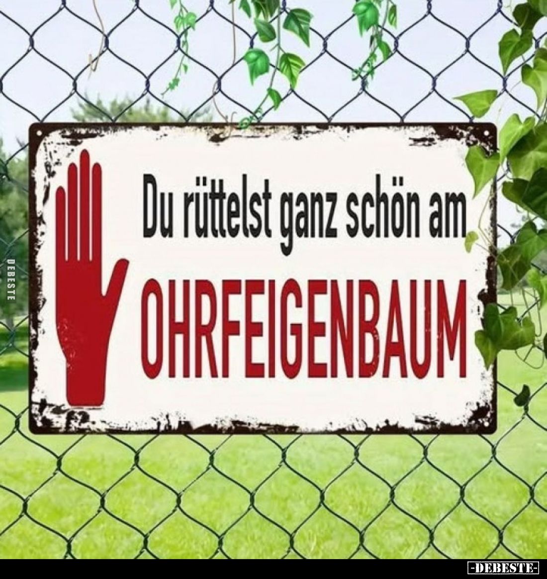 Du rüttelst ganz schön am
OHRFEIGENBAUM.