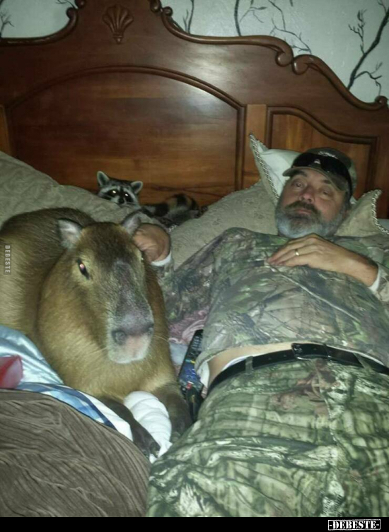  - Lustige Bilder | DEBESTE.de