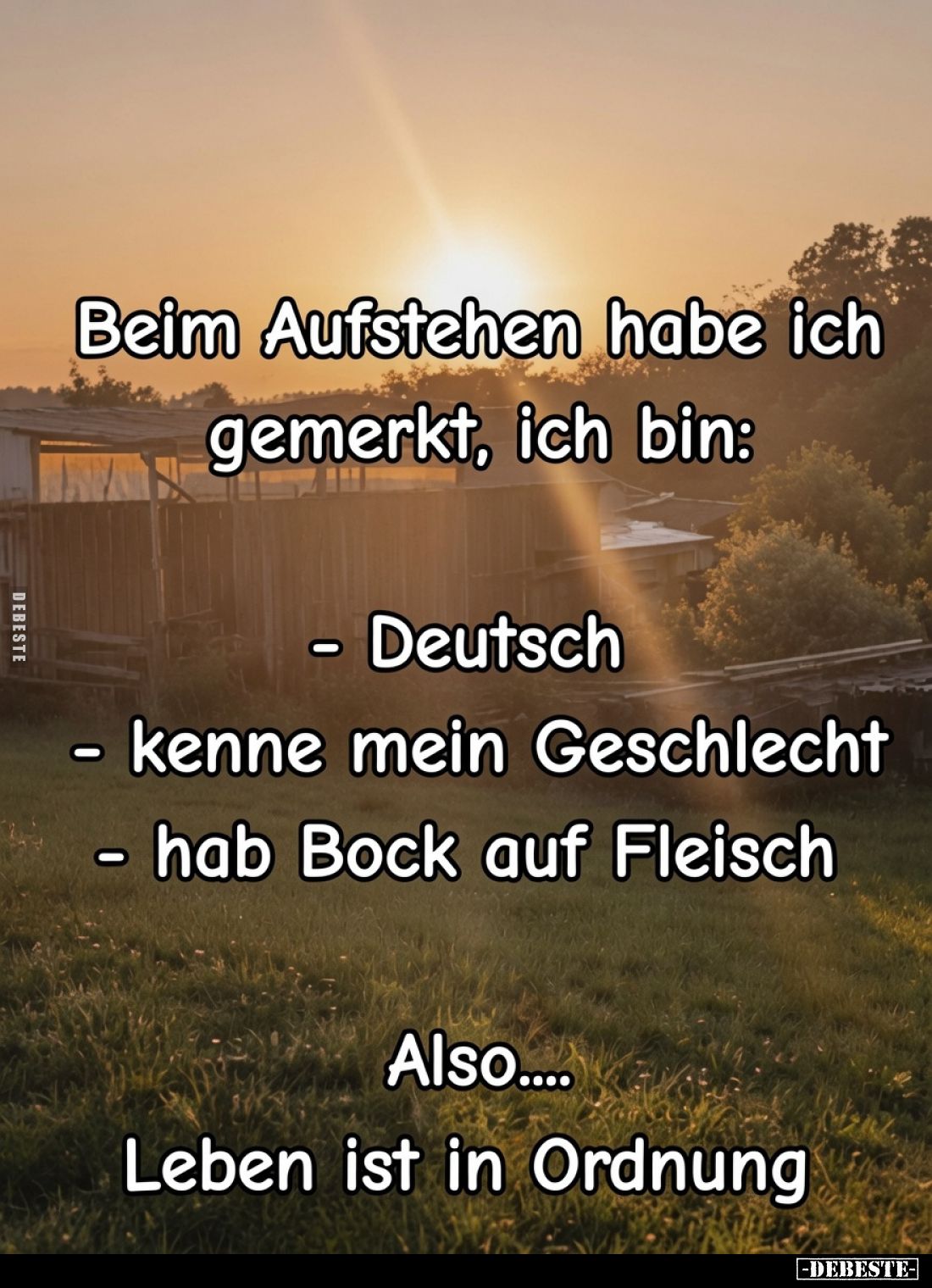 Beim Aufstehen habe ich gemerkt, ich bin:

   - Deutsch
   - kenne mein Geschlecht
   - hab Bock auf Fleisch

Also.......