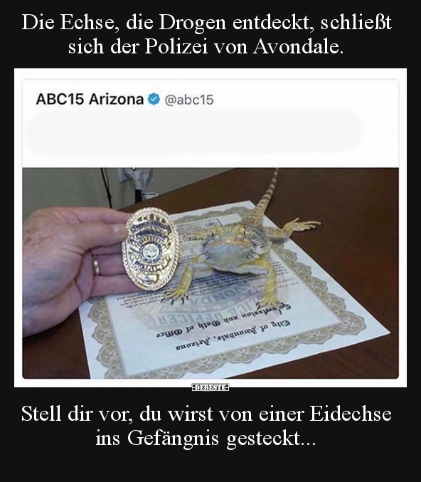 Die Echse, die Drogen entdeckt, schließt sich der Polizei.. - Lustige Bilder | DEBESTE.de