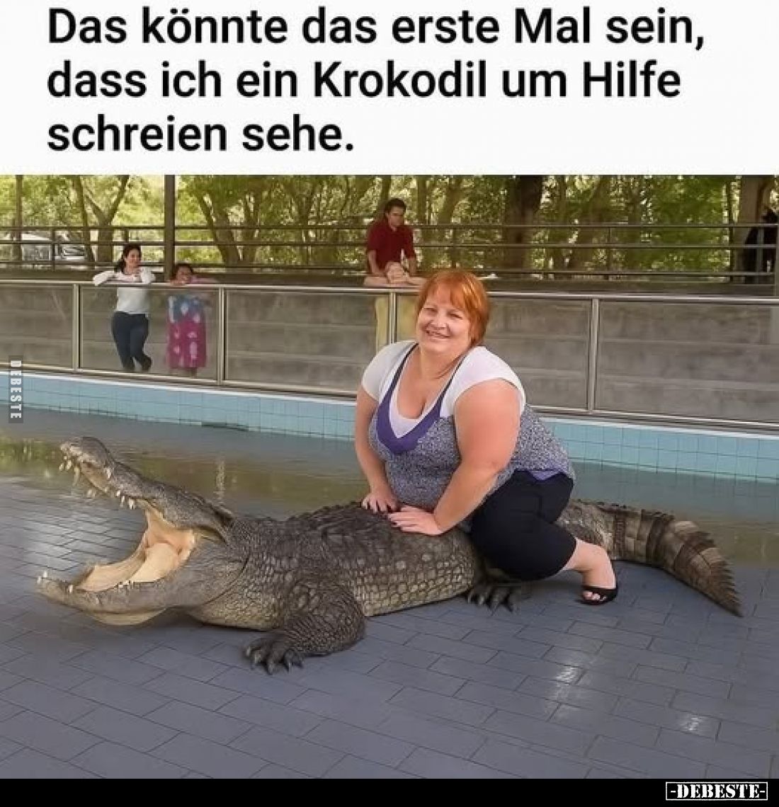 Das könnte das erste Mal sein, dass ich ein Krokodil um Hilfe schreien sehe.