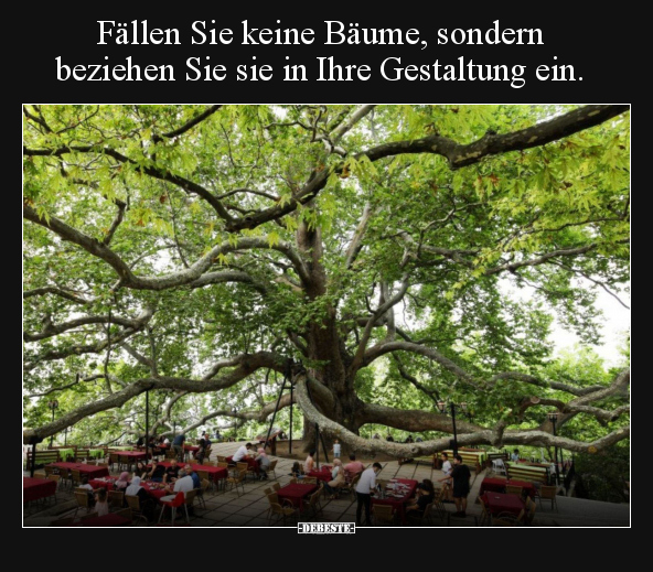 Bäume