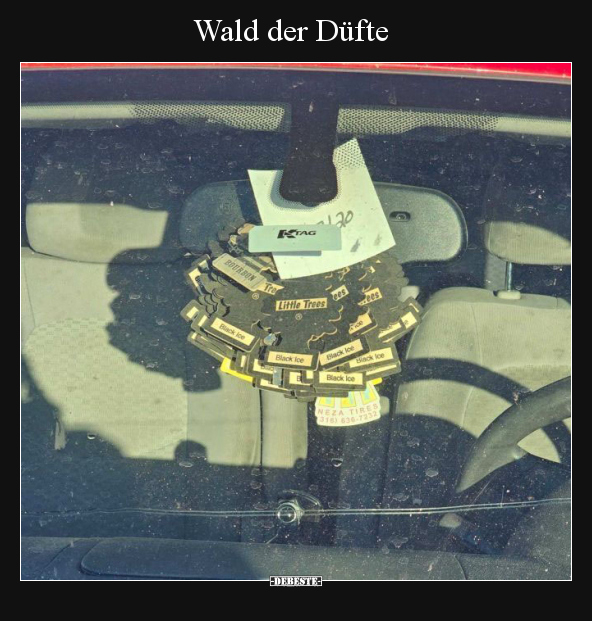 Wald der Düfte.. - Lustige Bilder | DEBESTE.de