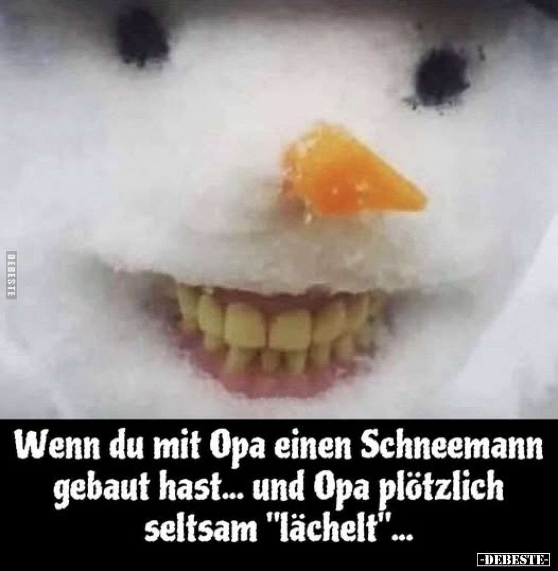 Wenn du mit Opa einen Schneemann gebaut hast... - Lustige Bilder | DEBESTE.de