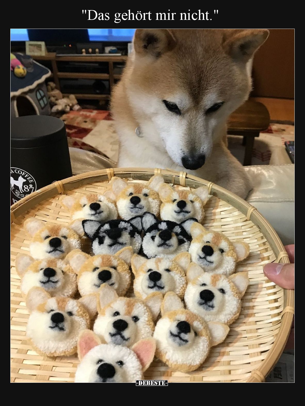 "Das gehört mir nicht.".. - Lustige Bilder | DEBESTE.de