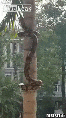  - Lustige Bilder | DEBESTE.de