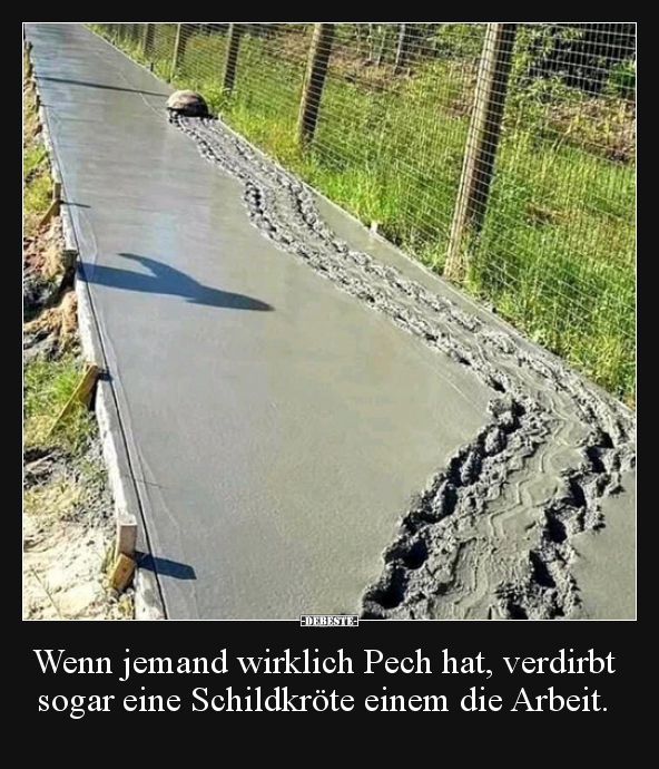 Wenn jemand wirklich Pech hat, verdirbt sogar eine.. - Lustige Bilder | DEBESTE.de