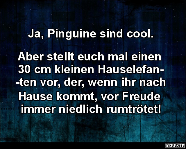 Ja, Pinguine sind cool.. - Lustige Bilder | DEBESTE.de