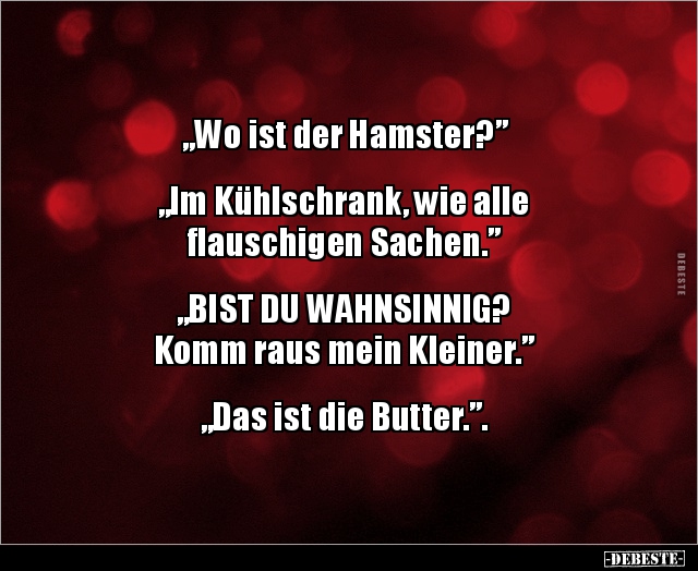 „Wo ist der Hamster?”  "Im Kühlschrank, wie.." - Lustige Bilder | DEBESTE.de