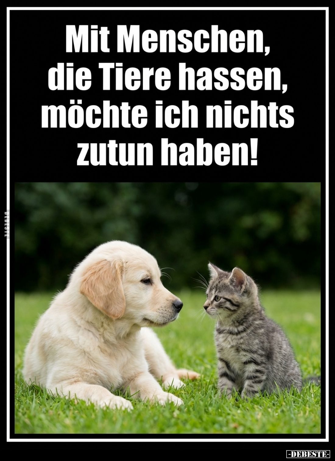 Mit Menschen, die Tiere hassen, möchte ich nichts zu tun haben!