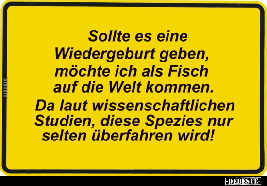 Sollte es eine Wiedergeburt geben, möchte ich als Fisch auf.. - Lustige Bilder | DEBESTE.de