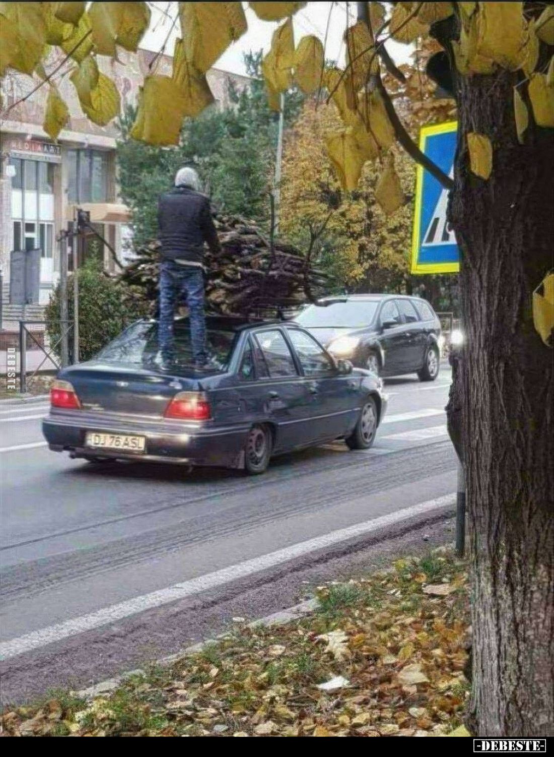  - Lustige Bilder | DEBESTE.de