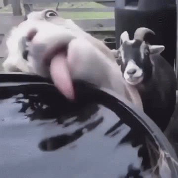 Es war eine harte Nacht.. ;)