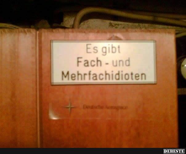 Es gibt Fach - und Mehrfachidioten..