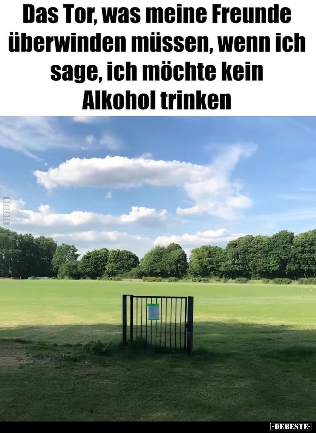 Das Tor, was meine Freunde überwinden müssen, wenn ich sage, ich möchte kein Alkohol trinken.