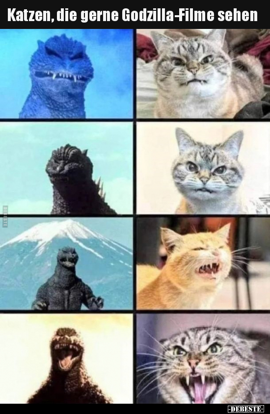 Katzen, die gerne Godzilla-Filme sehen.. - Lustige Bilder | DEBESTE.de