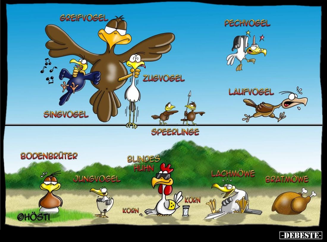  - Lustige Bilder | DEBESTE.de