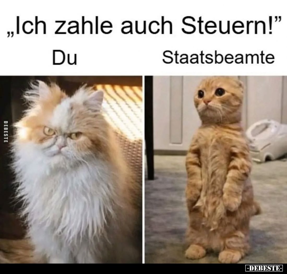 "Ich zahle auch Steuern!" Du / Staatsbeamte