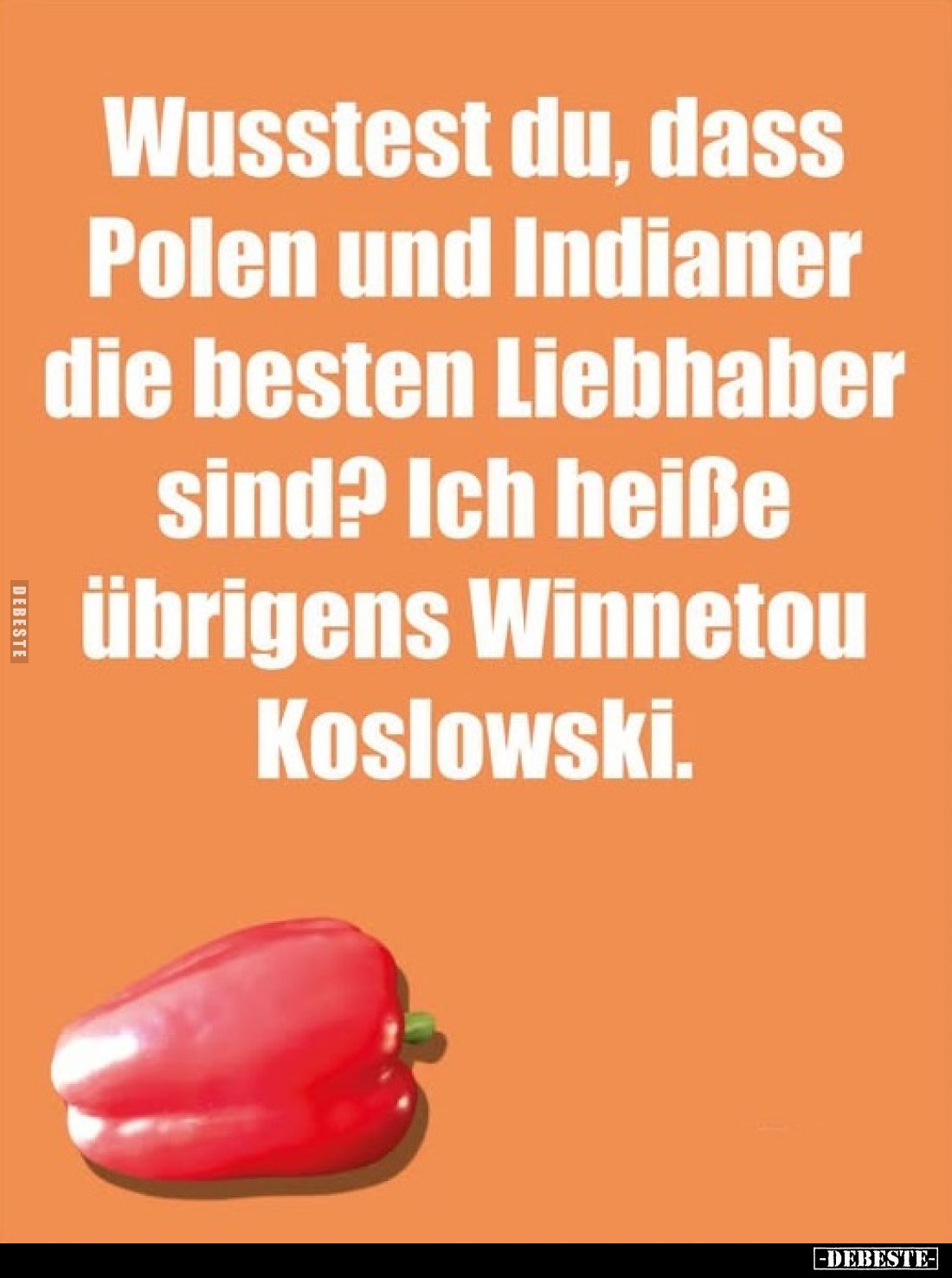 Wusstest du, dass Polen und Indianer die besten Liebhaber sind? Ich heiße übrigens Winnetou Koslowski.
