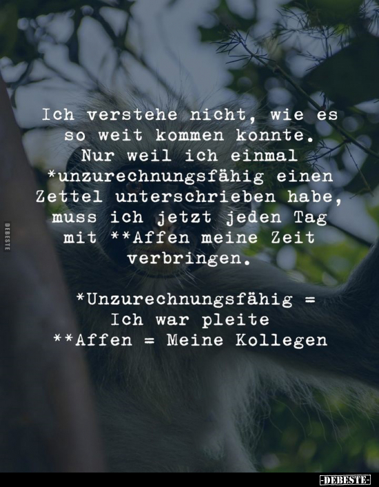 Ich verstehe nicht, wie es so weit kommen konnte.. - Lustige Bilder | DEBESTE.de