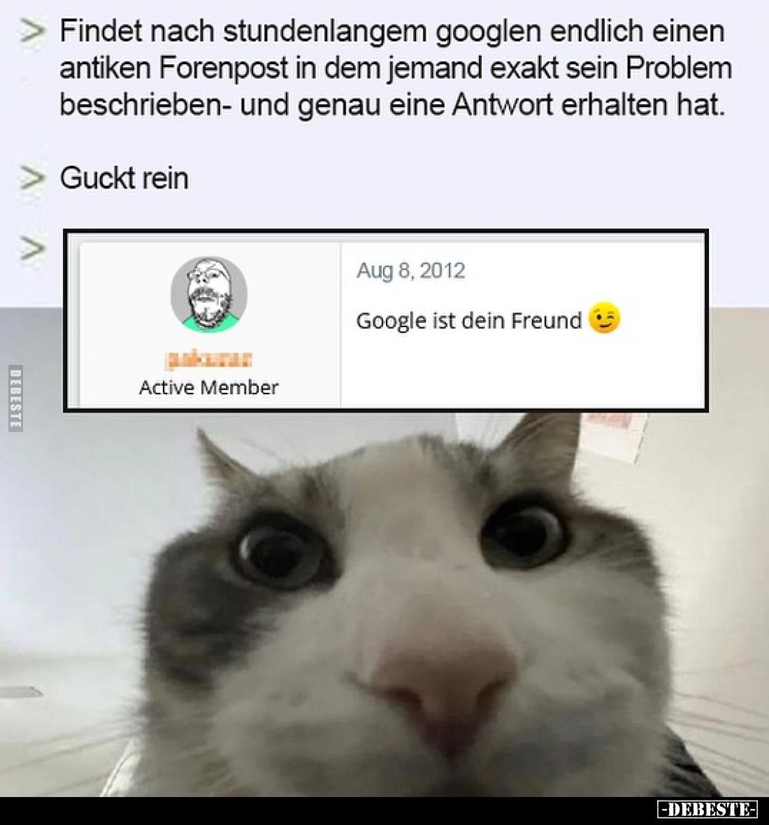 Findet nach stundenlangem googlen endlich einen antiken Forenpost in dem jemand exakt sein Problem beschrieben- und genau ein...