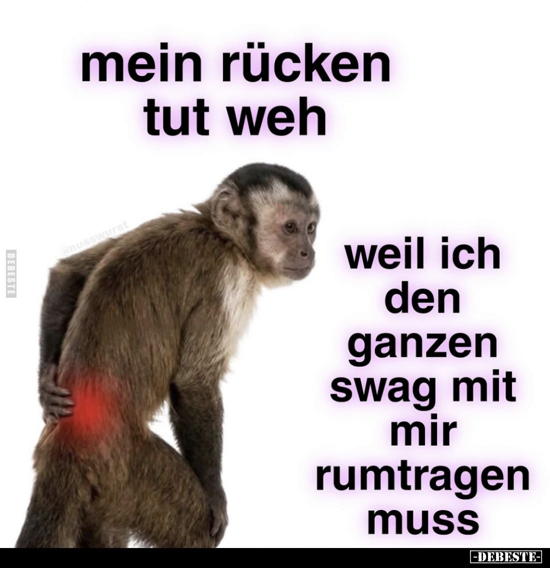 Mein Rücken tut weh
 - 
weil ich den ganzen swag mit mir rumtragen muss