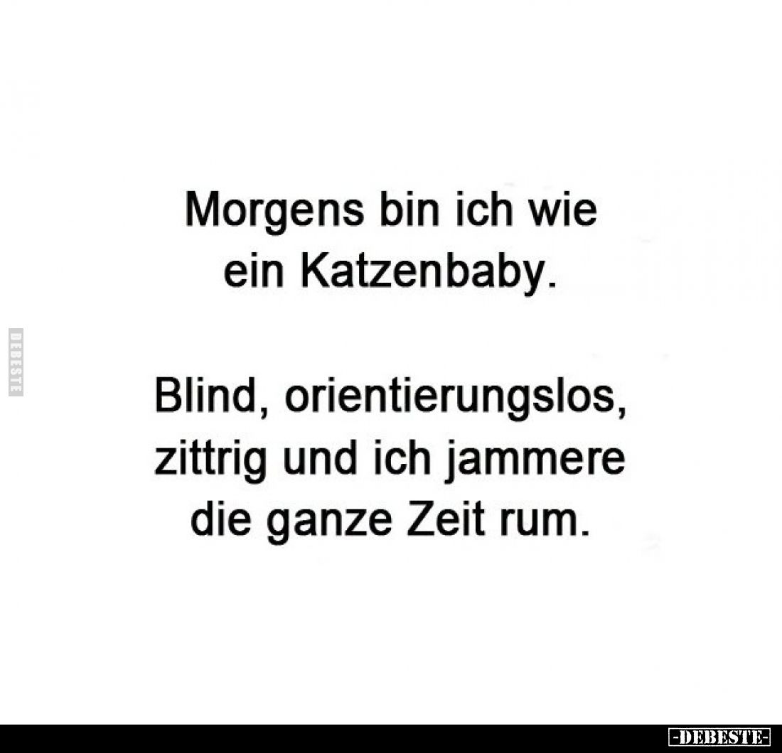 Morgens bin ich wie ein Katzenbaby.
Blind, orientierungslos, zittrig und ich jammere die ganze Zeit rum.