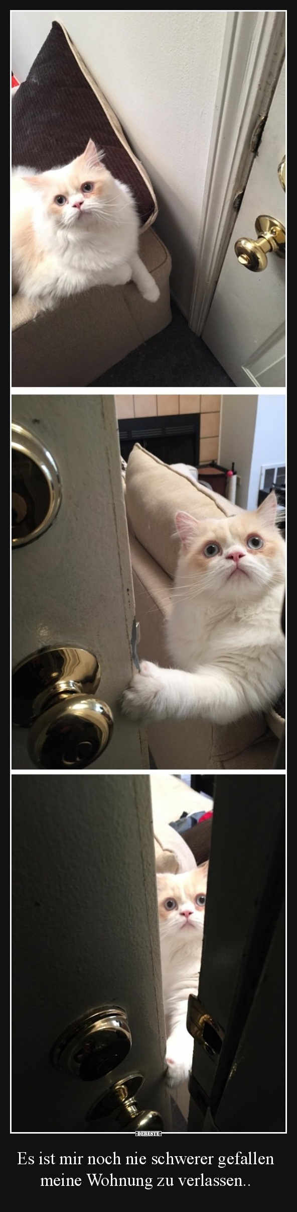 Es ist mir noch nie schwerer gefallen meine Wohnung zu verlassen..