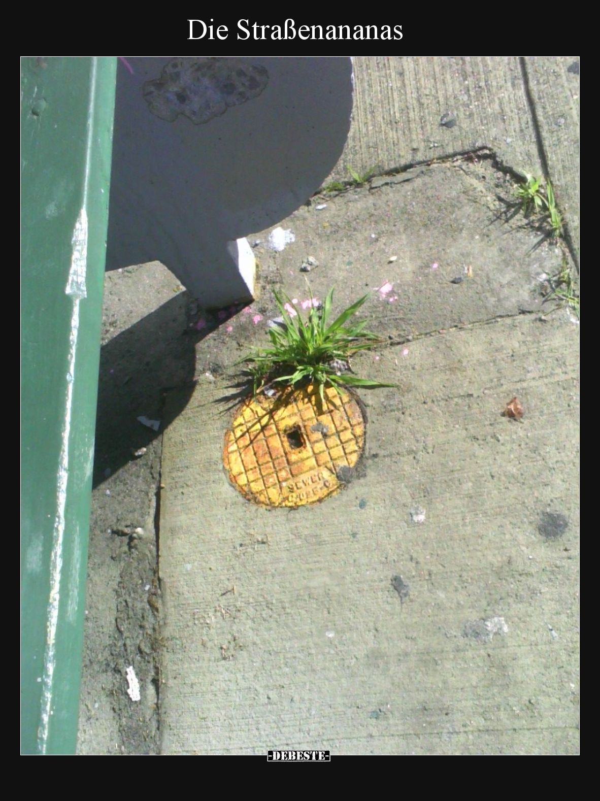 Die Straßenananas