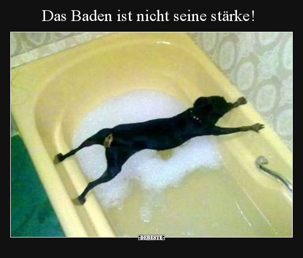 Das Baden ist nicht seine stärke!.. - Lustige Bilder | DEBESTE.de