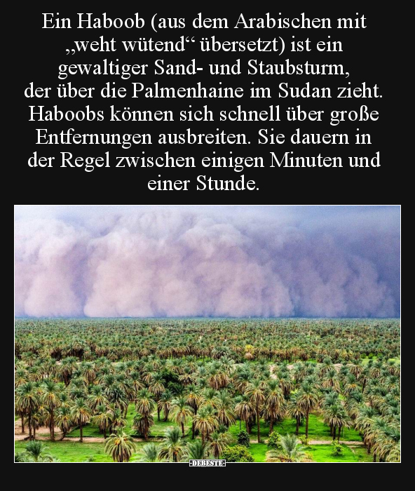 Ein Haboob (aus dem Arabischen mit "weht wütend" übersetzt).. - Lustige Bilder | DEBESTE.de