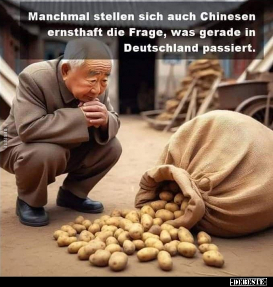 Manchmal stellen sich auch Chinesen ernsthaft die Frage.. - Lustige Bilder | DEBESTE.de