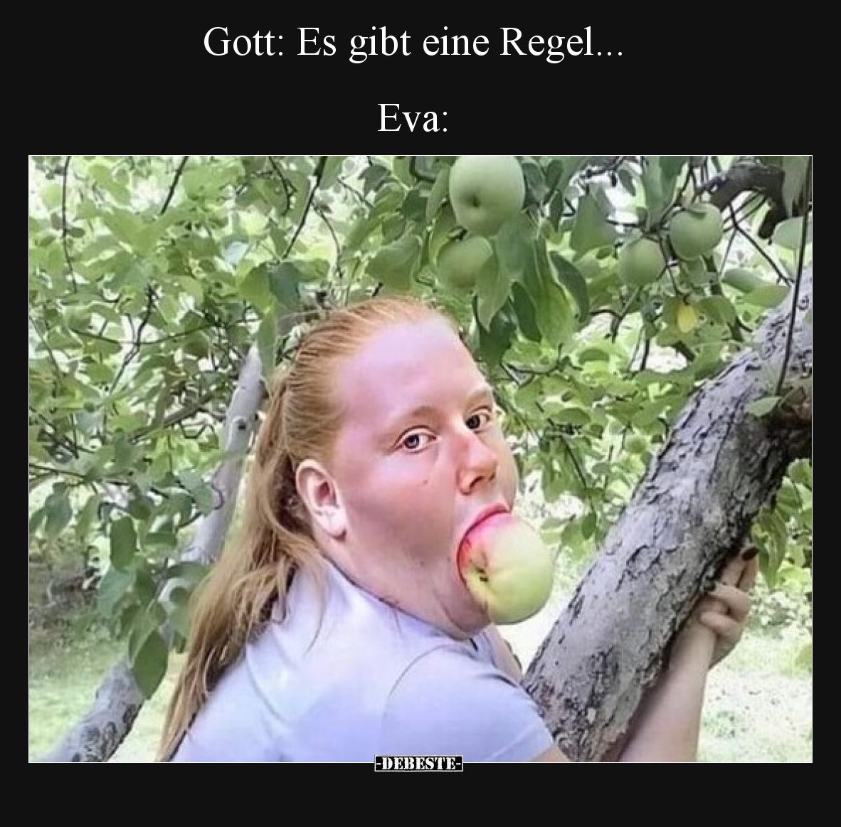 Gott: es gibt eine Regel... Eva: