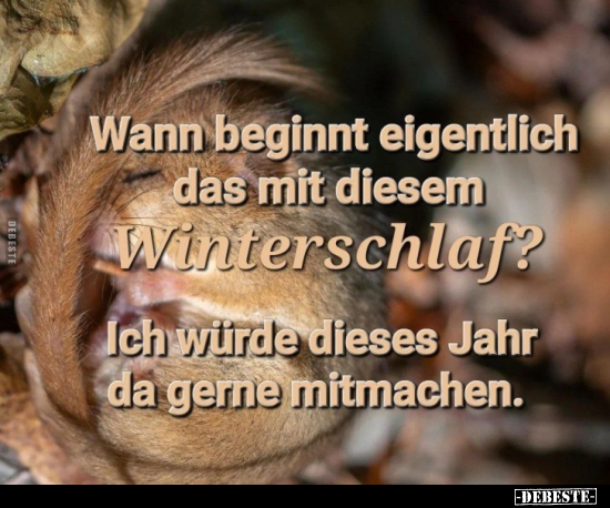 Wann beginnt eigentlich das mit diesem Winterschlaf?.. - Lustige Bilder | DEBESTE.de