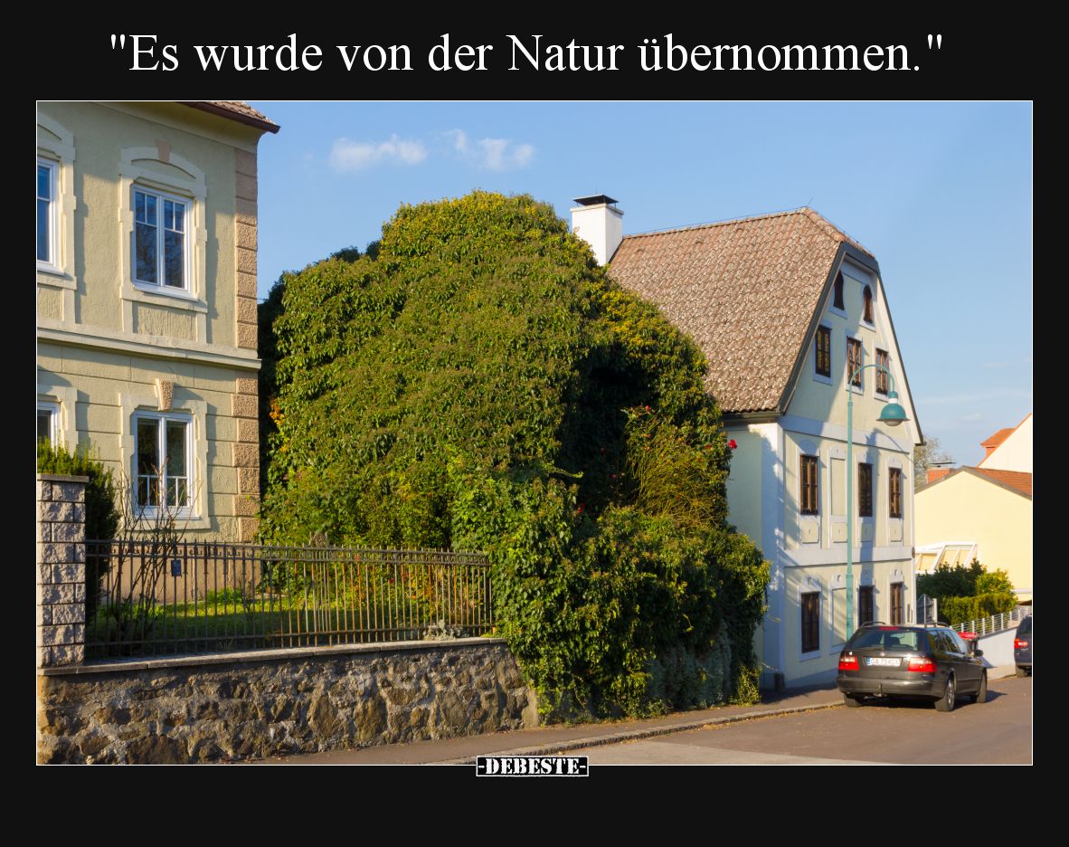 Es wurde von der Natur übernommen.
