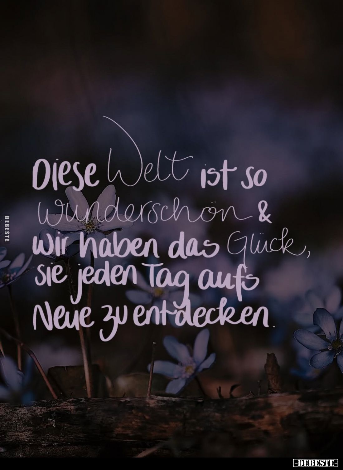 Diese Welt ist so wunderschön und wir haben das Glück, sie jeden Tag aufs Neue zu entdecken.