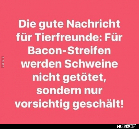 Die gute Nachricht für Tierfreunde: Für Bacon-Streifen.. - Lustige Bilder | DEBESTE.de